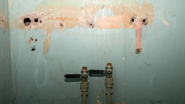 Best Sewage cleanup and water damage restoration  in Salida, CA