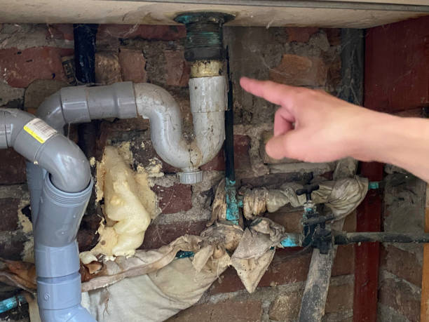 Best Local water damage restoration  in Salida, CA