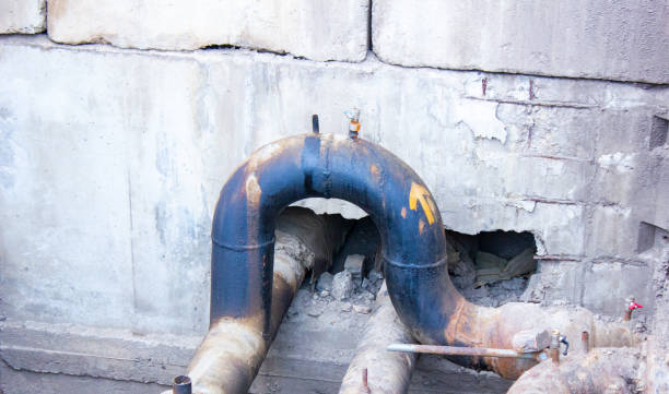 Best Professional water damage repair  in Salida, CA