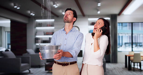 Best Professional water damage repair  in Salida, CA