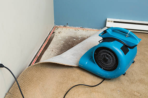 Best Fire Damage Restoration  in Salida, CA